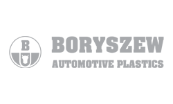 Boryszew Automotive Plastics